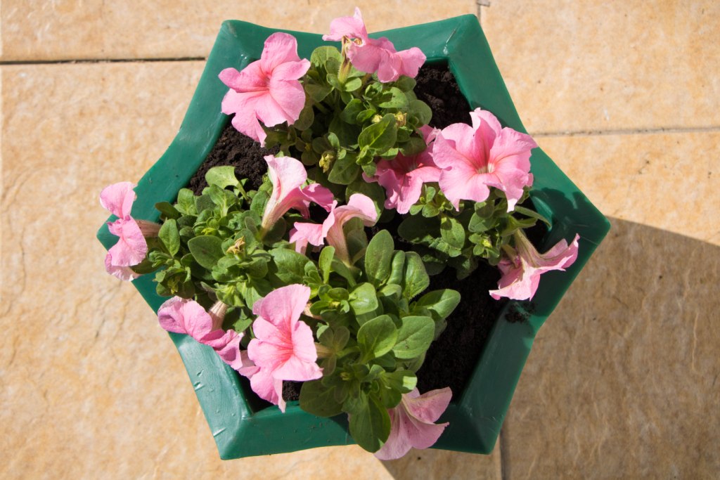 Вазон пластиковый. Собственное производство. Чистоград. Кашпо цветочное Лотос 350/450. Модель 2019